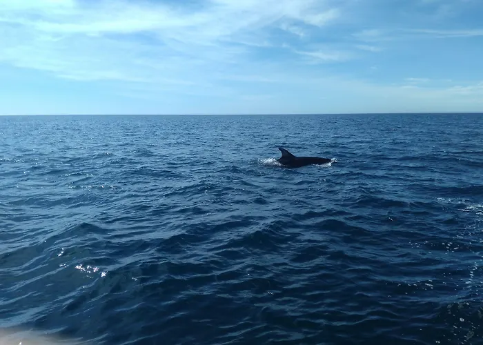 By Kavia 알부페이라