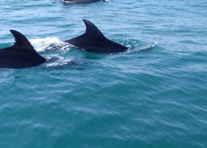 Готель By Kavia 2*